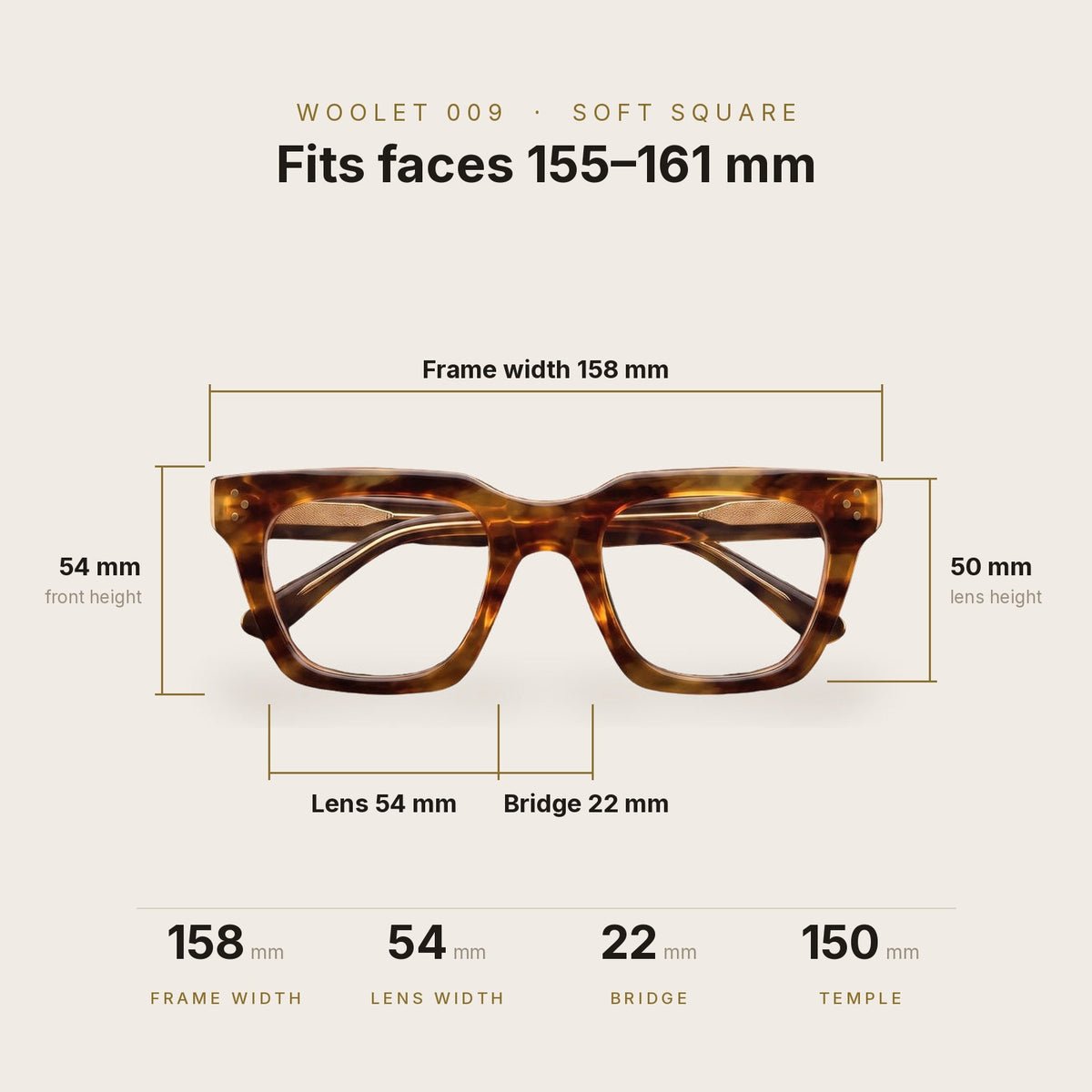 Woolet 009 Soft Square Havana dimensions - 158 mm frame width, 54 mm lens, 22 mm bridge, 150 mm temples, fits faces 155-161 mm